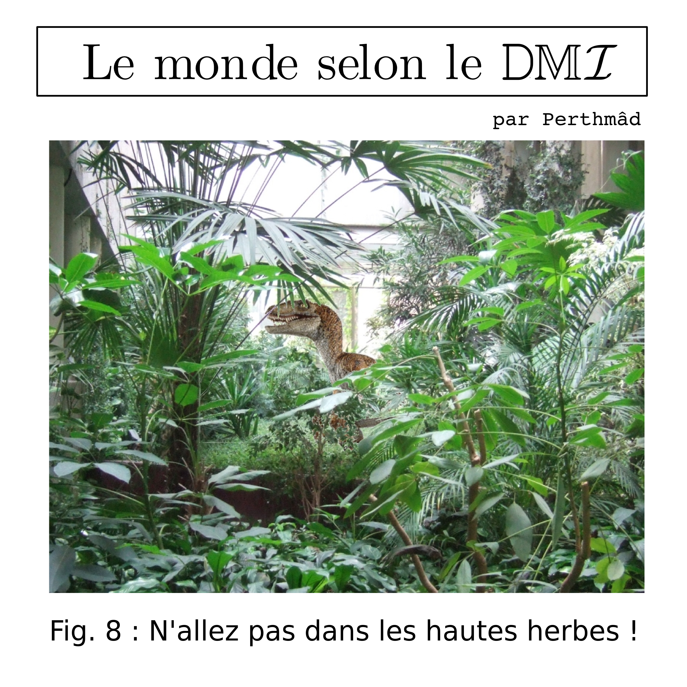 N'allez pas dans les hautes herbes !